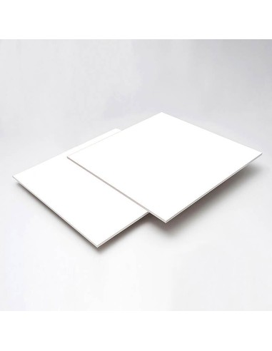 Placa Pladur Decor blanca, 10x600x1200 Vinílica