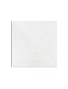 Placa AMF Thermofon E15, 600x600 mm., caja de 16 uds.